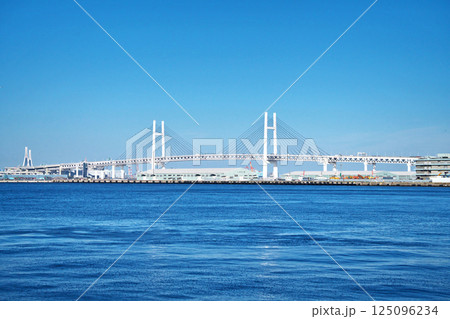 春の横浜ベイブリッジ（春、三月） 125096234