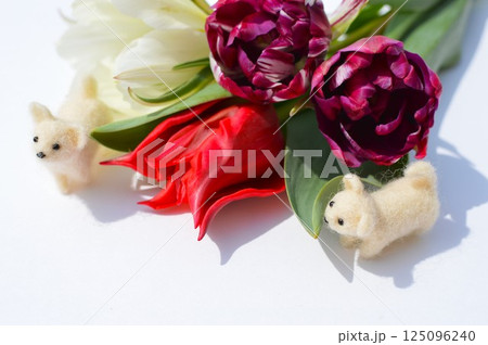 3種のチューリップの花束と羊毛フェルトの子犬 3種のチューリップの花束と羊毛フェルトの子犬 125096240