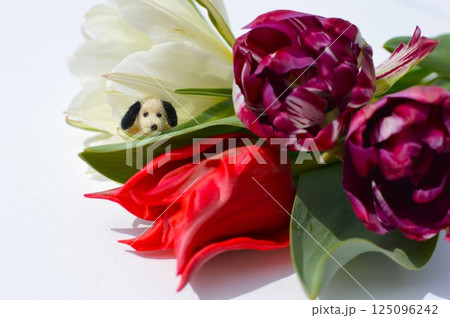3種のチューリップの花束とフェルトの子犬　　 125096242