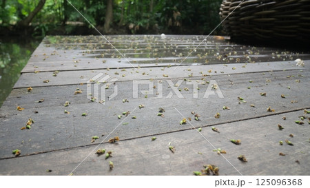 A wooden boardwalk wet from the rain, scattered with fallen leaves, evoking a feeling of loneliness 125096368