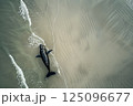 Beached whale. Ecological disaster. Top aerial view 125096677