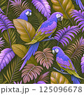 A colorful and graceful macaw with bright feathers perched on a branch. Perfect  125096678