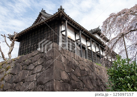 掛川城跡に現存する太鼓櫓 125097157