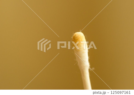 ベタベタの湿性耳垢 125097161