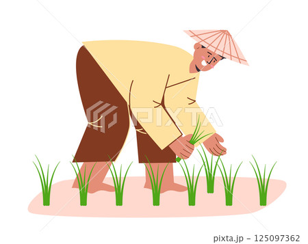 Planting paddy rice plant farmer traditional farming wearing hat working flat illustration cartoon agricultural activities in field Planting paddy rice plant farmer traditional farming wearing hat working flat illustration cartoon agricultural activities in field 125097362