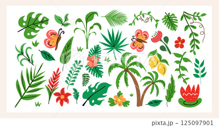 Tropical plant set hand draw flat style with jungle leaves, colorful flowers, butterflies, fruits. Perfect for summer designs, patterns, stickers and exotic decor. Vector illustration. 125097901