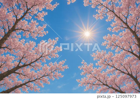 満開の桜・見上げる 125097973