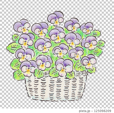 紫羅蘭花卉插圖 125098209