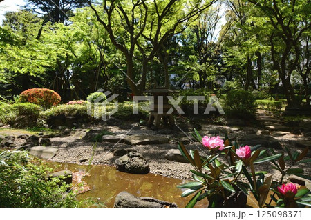 新緑の日本庭園 新緑の日本庭園 125098371