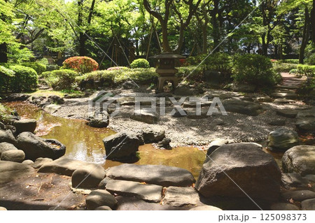 新緑の日本庭園 125098373