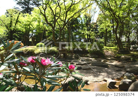 新緑の日本庭園 新緑の日本庭園 125098374