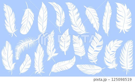 Set white bird feathers on blue background Set white bird feathers on blue background 125098519