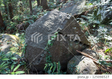 本林石丁場に残る築城石 125098527