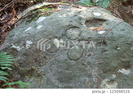 本林石丁場群 三ツ星紋が刻まれた刻印石 本林石丁場群 三ツ星紋が刻まれた刻印石 125098528