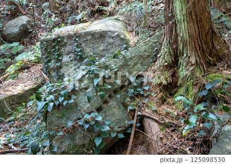 本林石丁場群 築城石 本林石丁場群 築城石 125098530