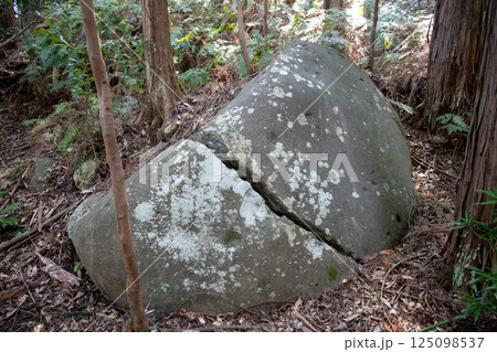 本林石丁場に残る築城石 本林石丁場に残る築城石 125098537