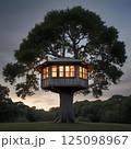 夕日に照らされる公園 125098967