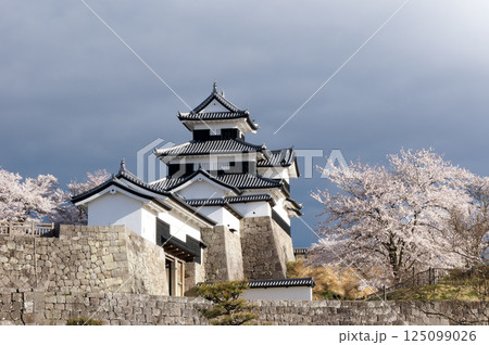 桜咲く小峰城 桜咲く小峰城 125099026