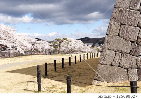桜咲く小峰城 125099027