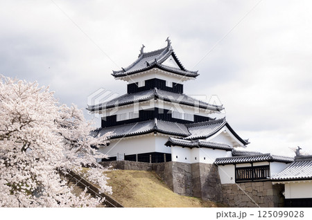 桜咲く小峰城 125099028