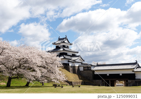 桜咲く小峰城 125099031