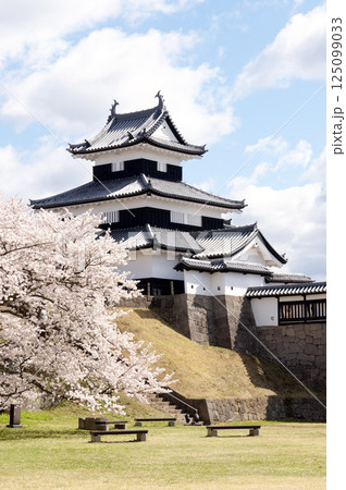 桜咲く小峰城 125099033