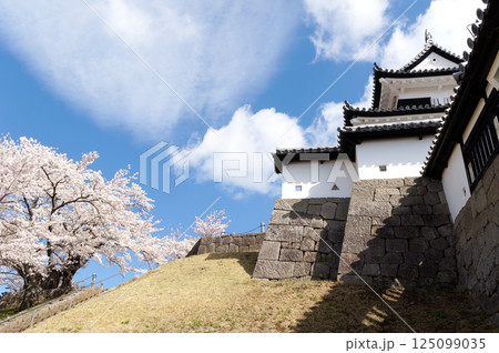 桜咲く小峰城 125099035