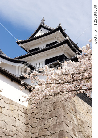 桜咲く小峰城 125099039