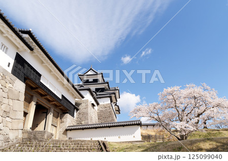 桜咲く小峰城 125099040