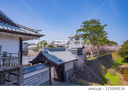 (石川県)金沢城 河北門と菱櫓 桜の季節 (石川県)金沢城 河北門と菱櫓 桜の季節 125099216