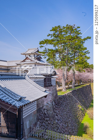 （石川県）金沢城　河北門と菱櫓　桜の季節 125099217