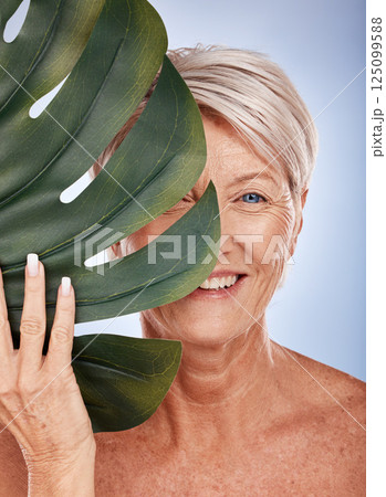 Monstera, skincare and senior woman with a leaf for cosmetics against a grey studio background. Spa, luxury and portrait of an elderly model with a plant for wellness, beauty and body health 125099588