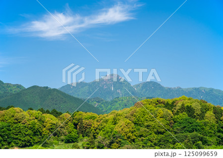 新緑シーズンの御在所岳 125099659