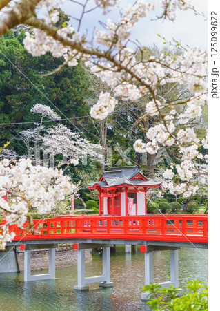 【千葉県茂原市】春の茂原公園(弁天湖)と桜 125099822