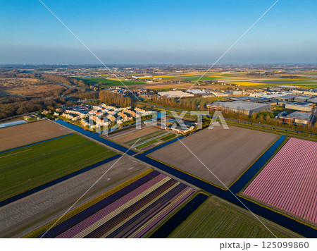Aerial view of a peaceful suburban neighborhood surrounded by fields and canals. Neat rows of houses with red roofs reflect in the water, set against a backdrop of farmland and open skies. Aerial view of a peaceful suburban neighborhood surrounded by fields and canals. Neat rows of houses with red roofs reflect in the water, set against a backdrop of farmland and open skies. 125099860