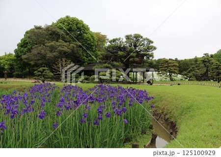 岡山　後楽園 125100929