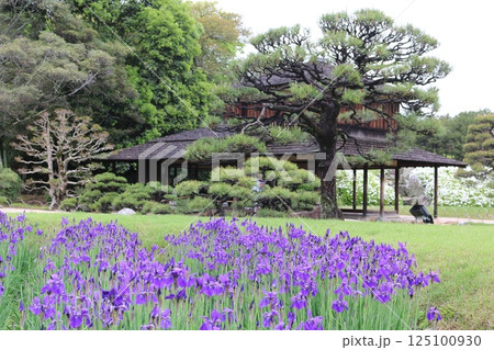 岡山　後楽園 125100930