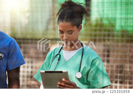 Healthcare, medical nurse and tablet for patients chart, digital health report and information. Hospital doctor, professional black woman vet and animal nursing clinic worker use treatment note 125101859