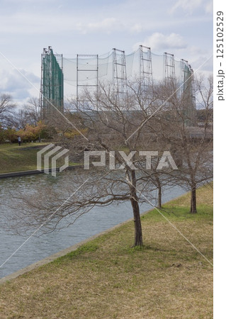 倉敷川 河津桜の春 ソメイヨシノの開花 倉敷川 河津桜の春 ソメイヨシノの開花 125102529