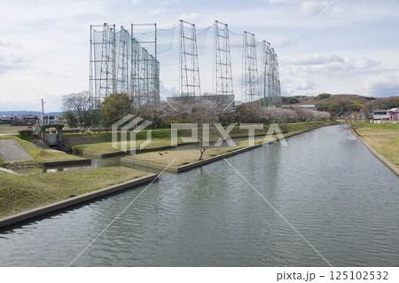 倉敷川 河津桜の春 ソメイヨシノの開花 倉敷川 河津桜の春 ソメイヨシノの開花 125102532