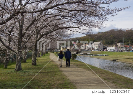倉敷川　河津桜の春　ソメイヨシノの開花 125102547