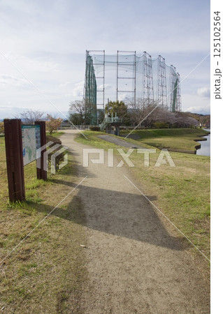 倉敷川 河津桜の春 ソメイヨシノの開花 倉敷川 河津桜の春 ソメイヨシノの開花 125102564