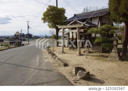 倉敷川 河津桜の春 ソメイヨシノの開花 倉敷川 河津桜の春 ソメイヨシノの開花 125102567