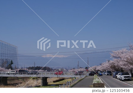 信州 松本の桜の名所 薄川堤防の桜並木 アルプスの雪山 薄川(一級河川) 信州 松本の桜の名所 薄川堤防の桜並木 アルプスの雪山 薄川(一級河川) 125103456