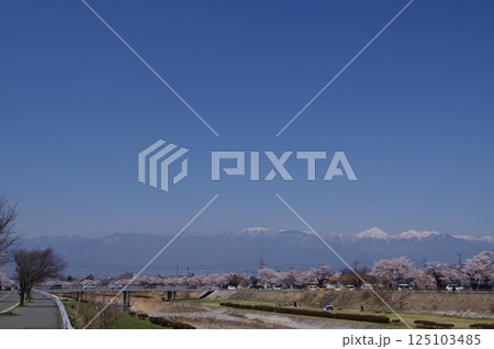 信州 松本の桜の名所 薄川堤防の桜並木 アルプスの雪山 薄川(一級河川) 信州 松本の桜の名所 薄川堤防の桜並木 アルプスの雪山 薄川(一級河川) 125103485