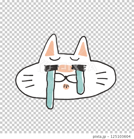 かわいい白猫の表情8 125103604