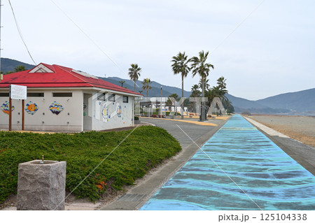 冬の白谷海浜公園 冬の白谷海浜公園 125104338
