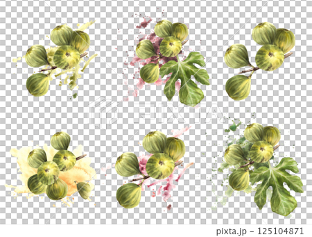 Figs tree branch set. Ripe, juicy whole fruit with leaves twigs on watercolor yellow, purple green stain spotted background. Food, plant clipart for card, jam label. Hand drawn illustration Isolated 125104871