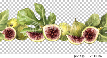 Green figs with leaves seamless border. Ripe whole and cut fruit. Food pattern, realistic plant repeating design. clipart for label, wallpaper Hand drawn watercolor illustration on isolated background 125104879