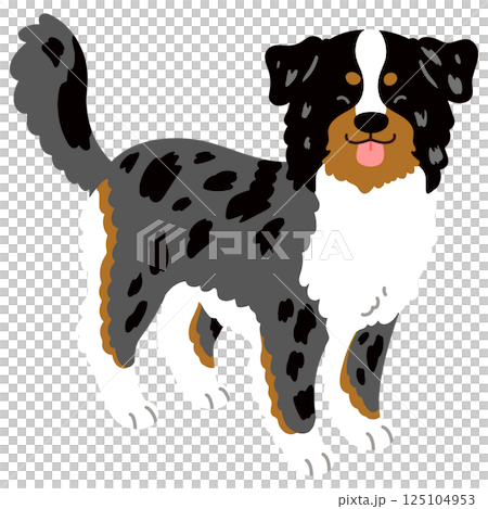 Simple and cute smiling Australian Shepherd, no main lines Simple and cute smiling Australian Shepherd, no main lines 125104953